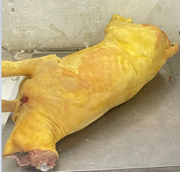 Bò Tơ Nguyên Con